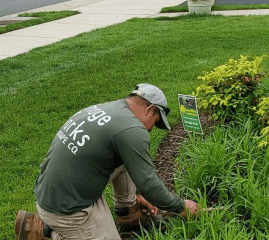 Lawn care worker by flowerbed