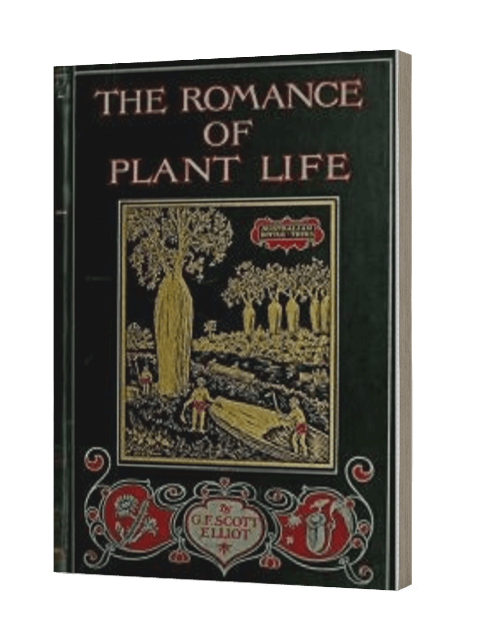 softback book The romance of plant life