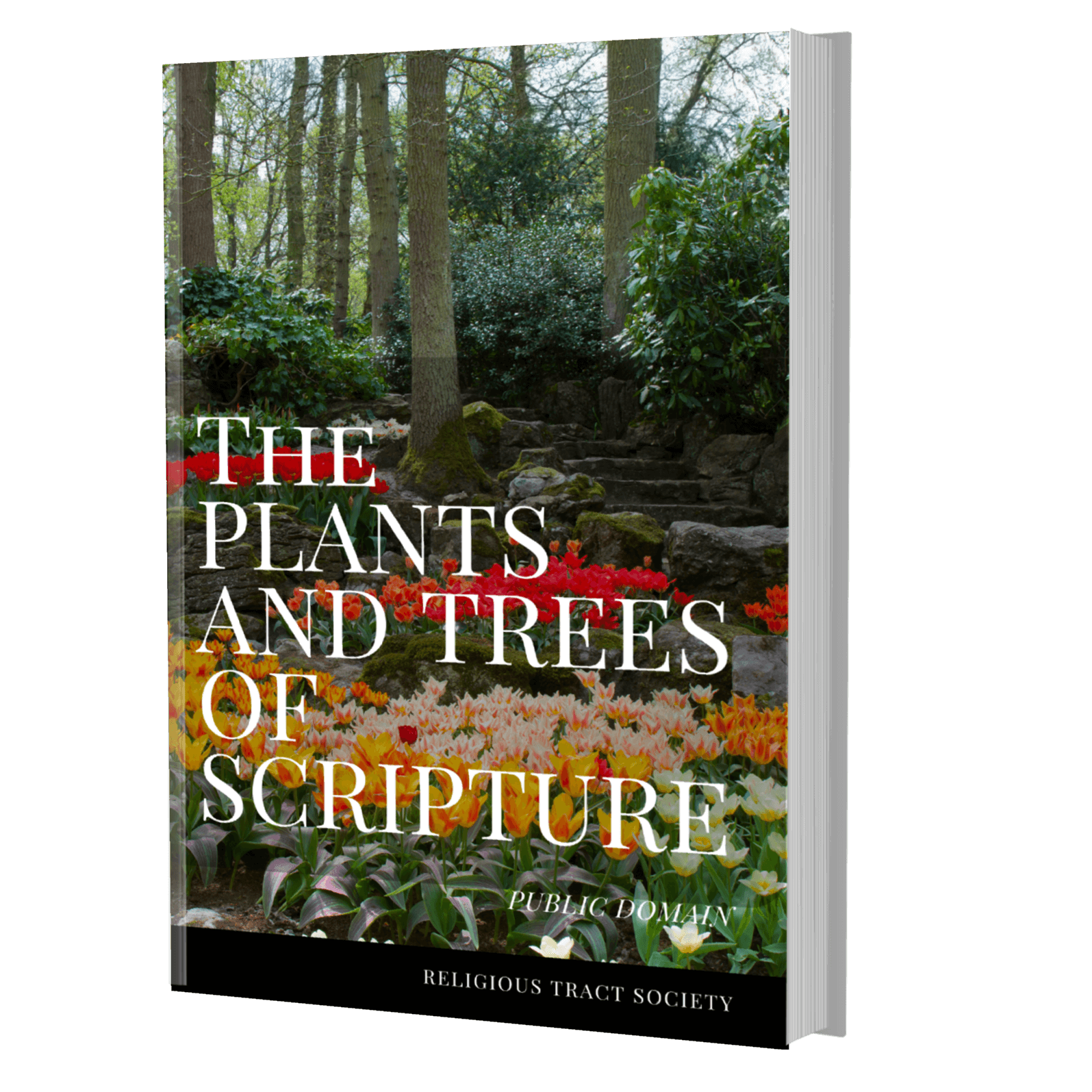The plants and trees of scripture book softback