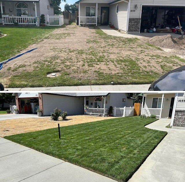 lawn renovation before and after pictures