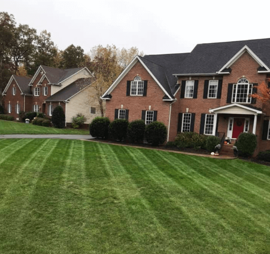 Zoysia turgrass is great when choosing the right turgrass