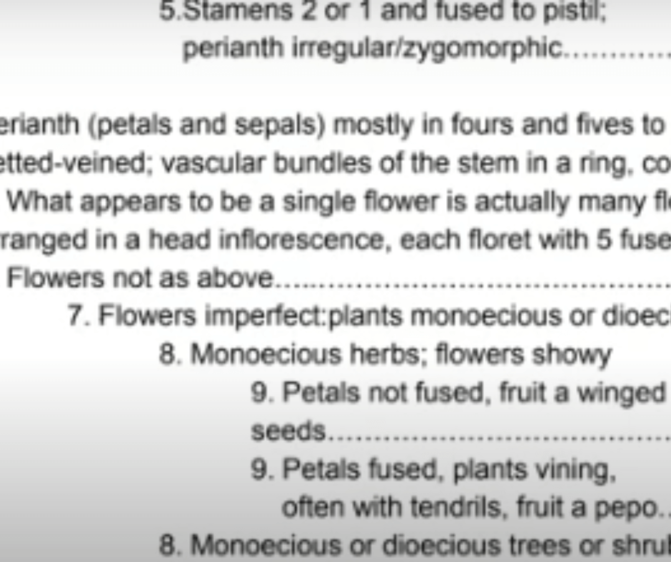 A text document featuring numbered bullet points and various biological terms related to plant structures and flower types, such as stamens, petals, sepals, monoecious, dioecious, and vascular bundles. Some text is partially cut off.