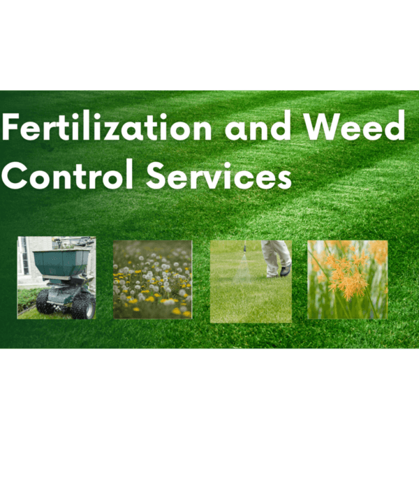 A lush green lawn showcases "Fertilization and Weed Control Services." Below, images display a fertilizer spreader, vibrant flowers amidst the grass, someone applying fertilizer, and a close-up of pesky weeds—all highlighting the essentials of fertilization and weed control.