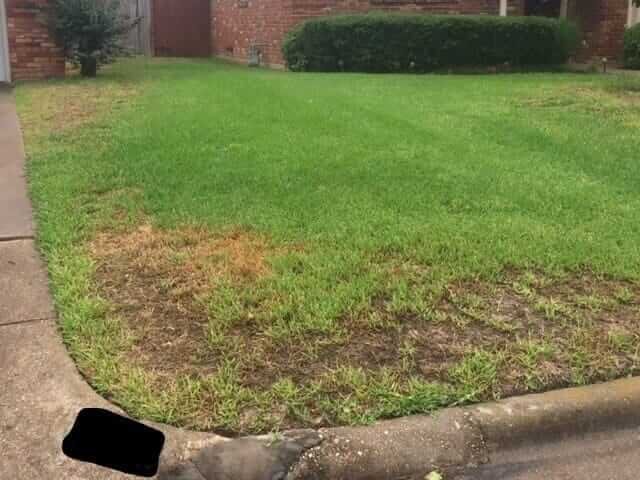 A well-kept lawn with a patch of discolored grass near the curb. The grass is mostly green and lush, except for a brown, dry area in the foreground. A sidewalk and curb border the edge of the lawn.